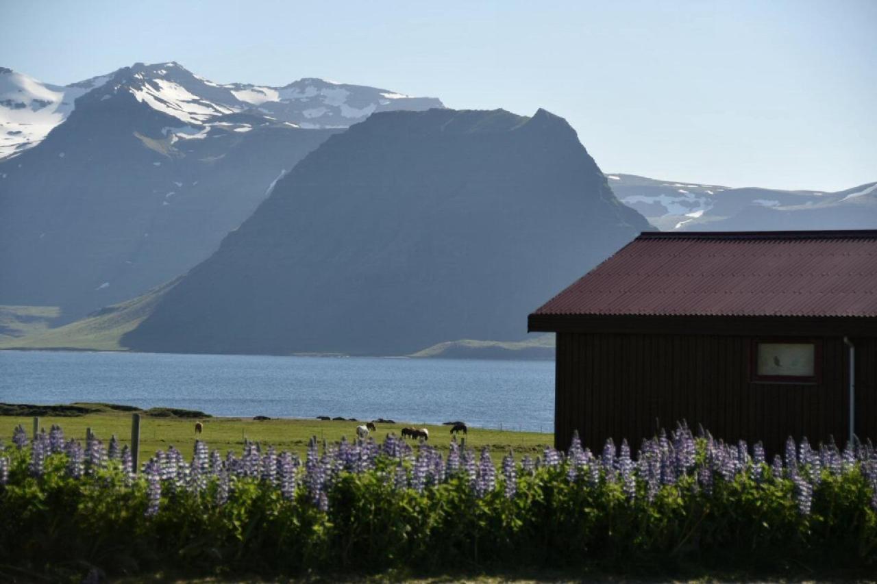 Sudur-Bar Guesthouse Grundarfjordur Luaran gambar