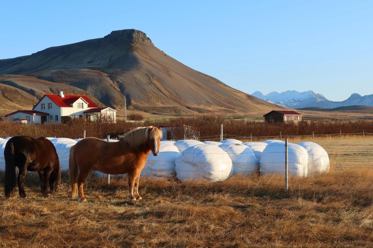 Sudur-Bar Guesthouse Grundarfjordur Luaran gambar